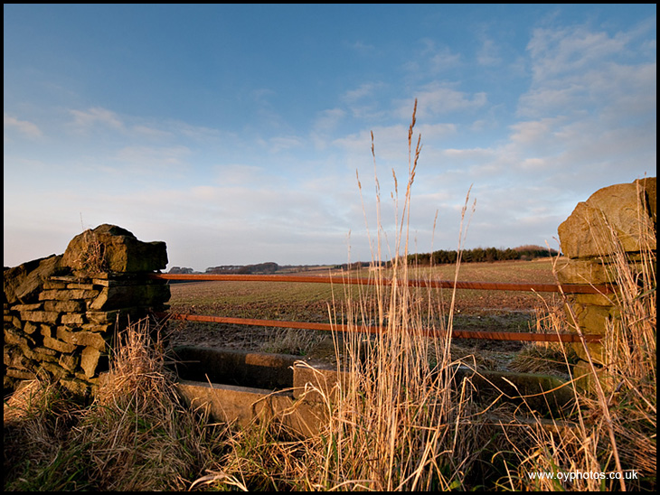 Afternoon sun - Parbold